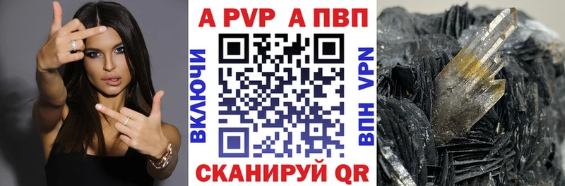 A PVP СК Братск