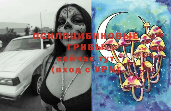 хмурый Новодвинск