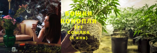 трава Новокубанск