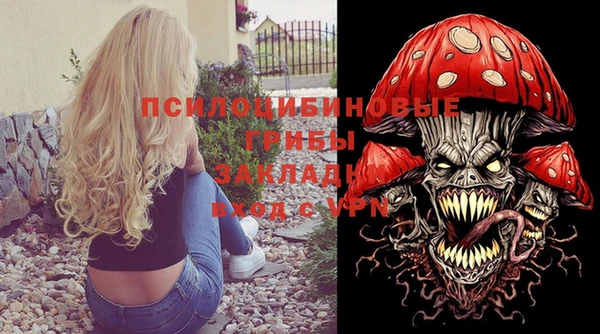 трава Новокубанск