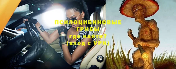 трава Новокубанск