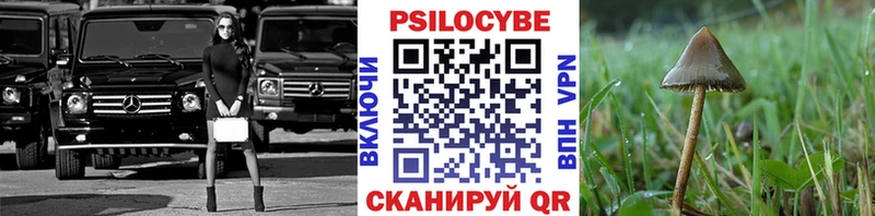 Псилоцибиновые грибы Cubensis  Братск 